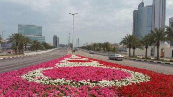 3800 شجرة تزين ميادين الخبر