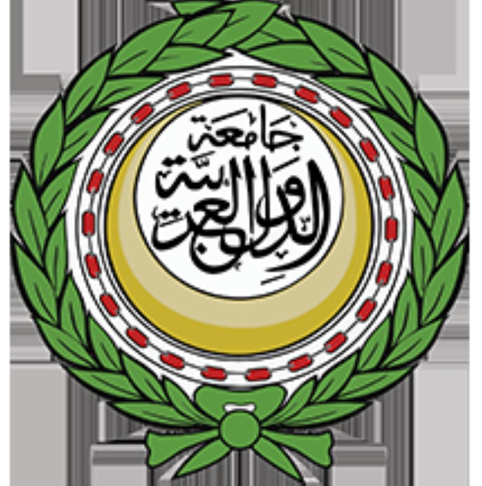 الجامعة العربية: استهداف السفن تصعيد خطير