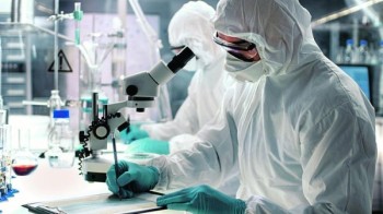 للوقاية من فيروس خطير .. فيتنام تعدم 1.2 مليون خنزير 