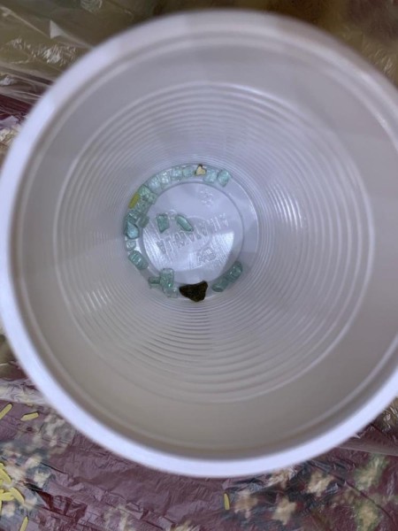 «وجبات بالزجاج» فى حفر الباطن.. والبلدية تغلق المطعم