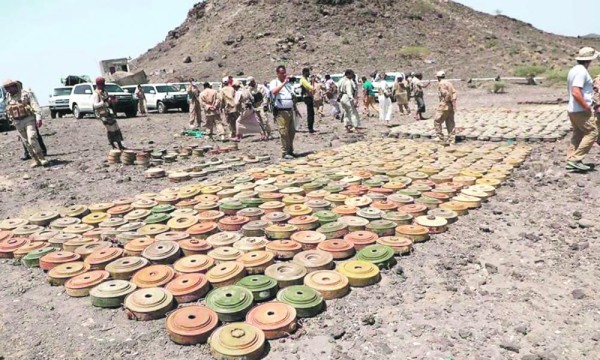 «مسام» ينتزع 1024 لغما حوثيا خلال أسبوع