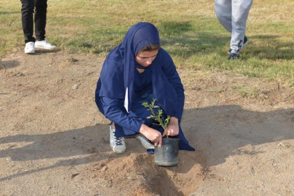 جدة.. زراعة 200 شتلة في حي البلد