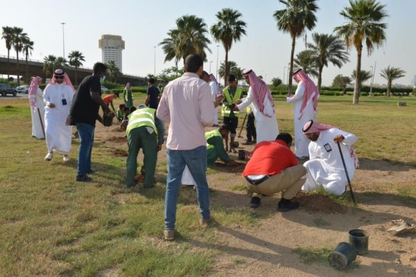 جدة.. زراعة 200 شتلة في حي البلد