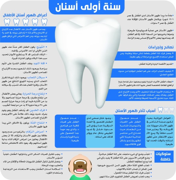 أنفوجرافيك بايت الأخيرة