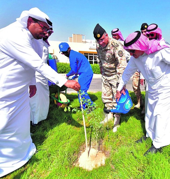 مليونا شجرة لغابتي «الأصفر» و«جواثا»
