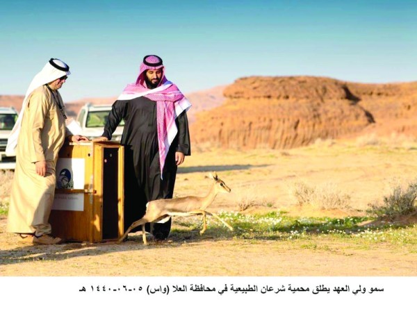 «العلا».. وجهة سياحية عالمية «ملهمة»