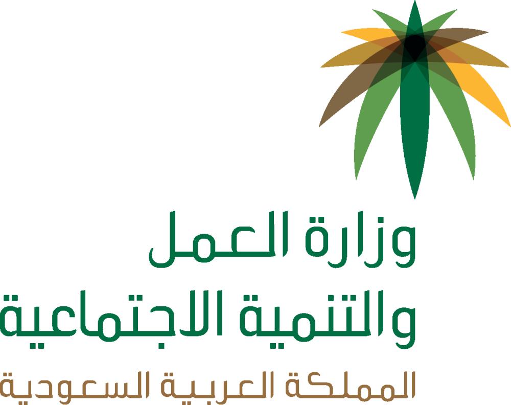 «العمل»: استمرار حملات التفتيش أيام العيد