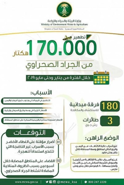 منها الشرقية.. تطهير 170 ألف هكتار من الجراد