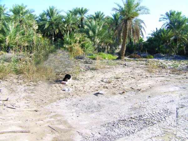 عين «أم البردي» عصب الحياة في زمن الطيبين