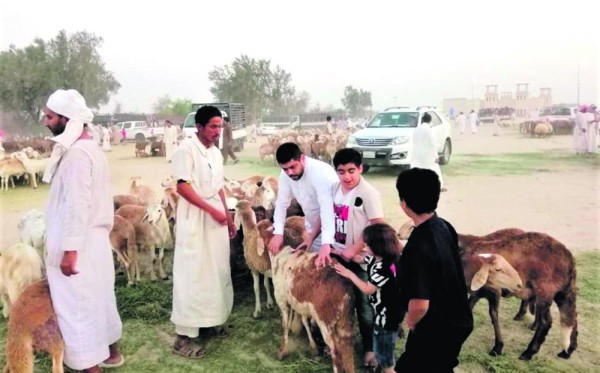 منصات التواصل الاجتماعي ترفع أسعار «أغنام العيد»