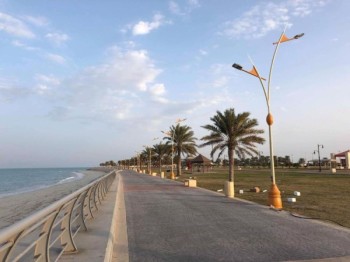 80 ألف زهرة تزين رأس تنورة في العيد