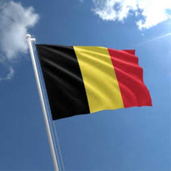 بلجيكا تدعو الحوثيين إلى احترام القانون الدولي