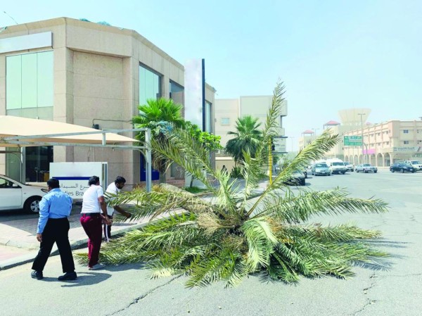 رياح مثيرة للأتربة تسيطر على أجواء الشرقية
