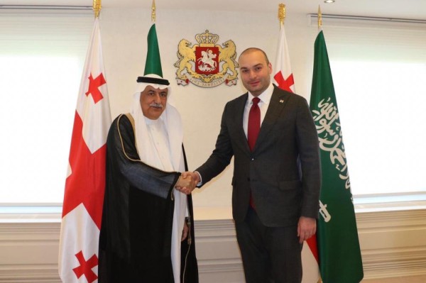 مباحثات مكثفة لوزير الخارجية في جورجيا