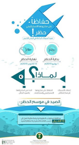 حظر صيد أسماك الباغة في البحر الأحمر
