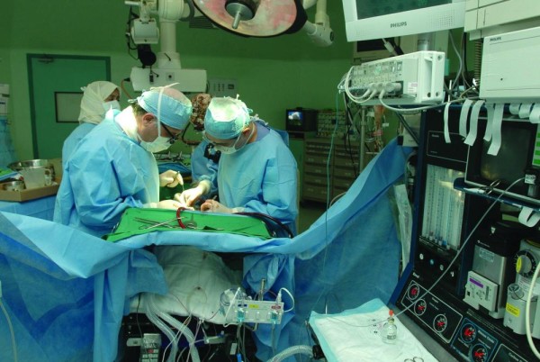 علاج الجلطات الدماغية بسيط بشرط التدخل السريع