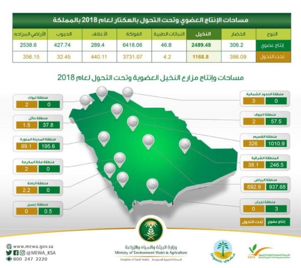 البيئة: 18 ألف هكتار مساحة الزراعة العضوية بالمملكة