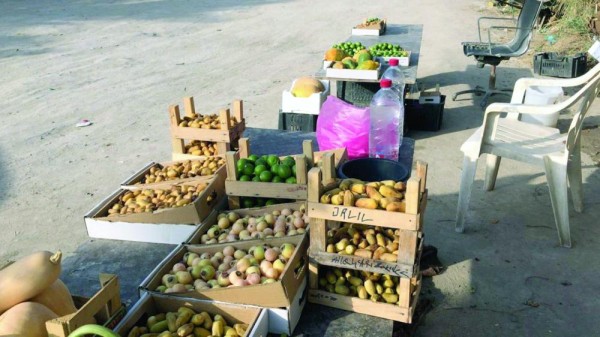 مصادرة 1400 صندوق رطب «خشبي» بالأحساء