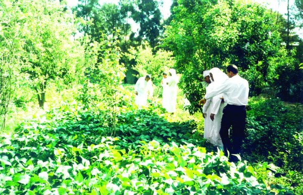3 أسواق داخل النطاق الزراعي بالأحساء قريبا
