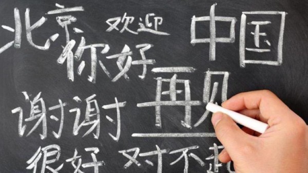 'اللغة الصينية' تتصدر برامج التدريب الصيفية