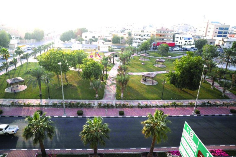 ضوابط للتشجير في الشوارع والأحياء السكنية