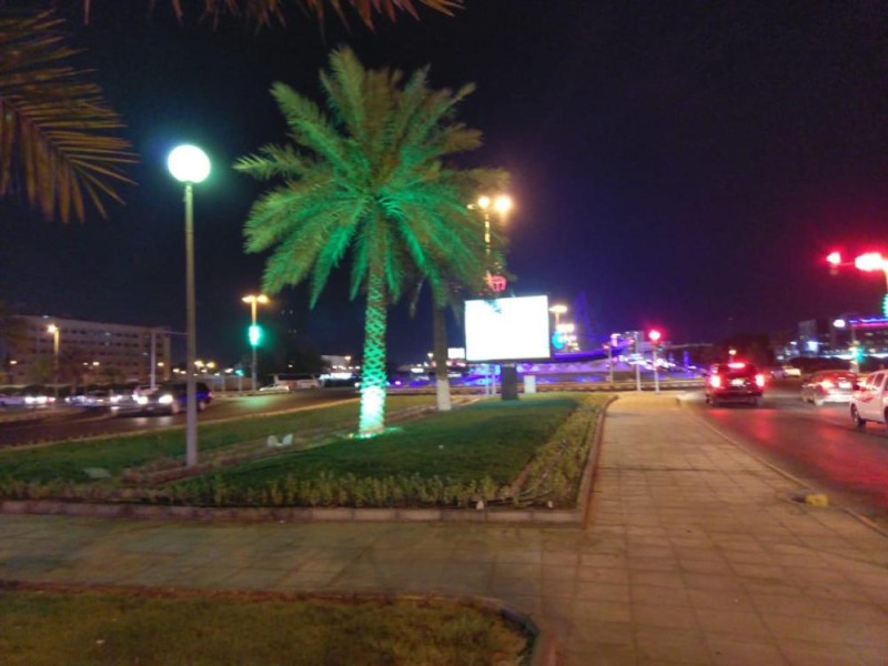 55 ألف زهرة تتفتح في الجبيل