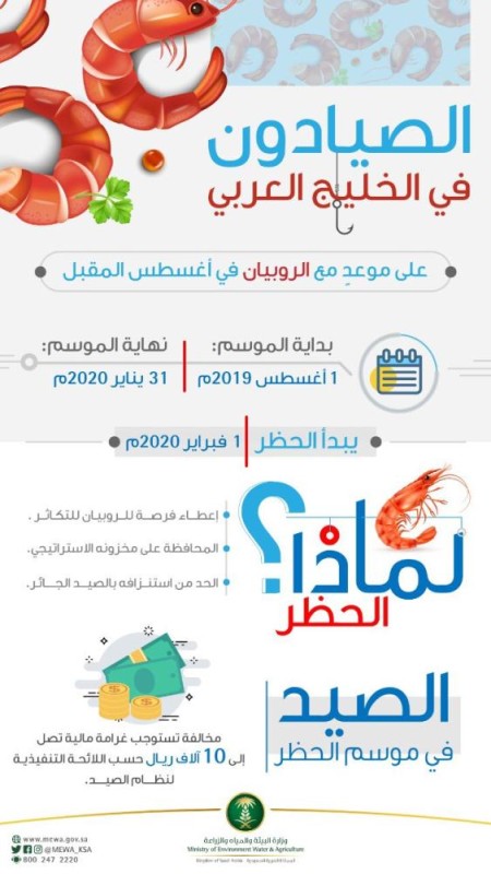«البيئة» : انطلاق موسم صيد الروبيان أول أغسطس