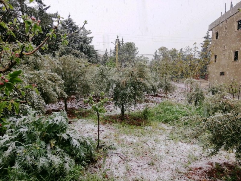 مقتل 3 أشخاص فى زفاف بلبنان