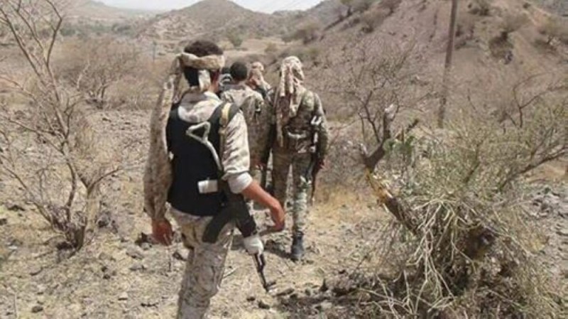 الجيش اليمني يحرر مناطق جديدة في تعـز
