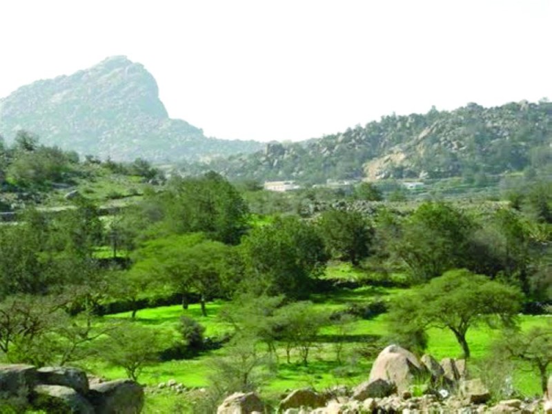 «بلجرشي» معالم طبيعية وتجارية شاهدة على التاريخ