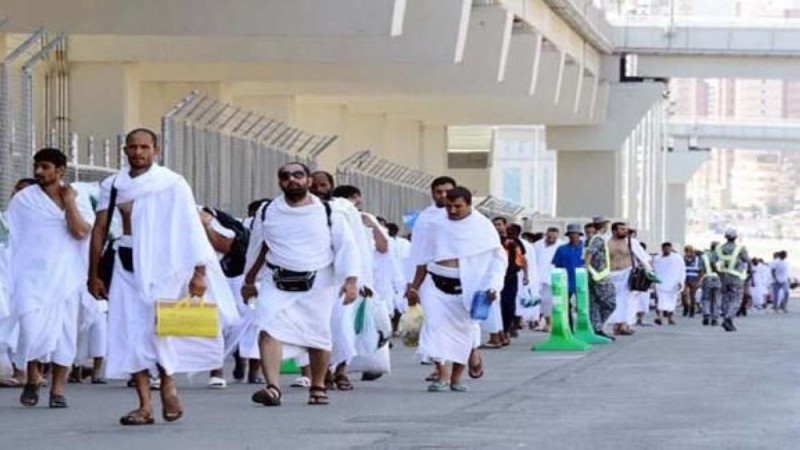 «الإحصاء»: 143 ألفًا إجمالي حجاج الداخل 