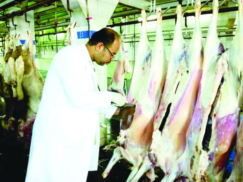 منع تهريب 1000 ذبيحة فاسدة من جدة