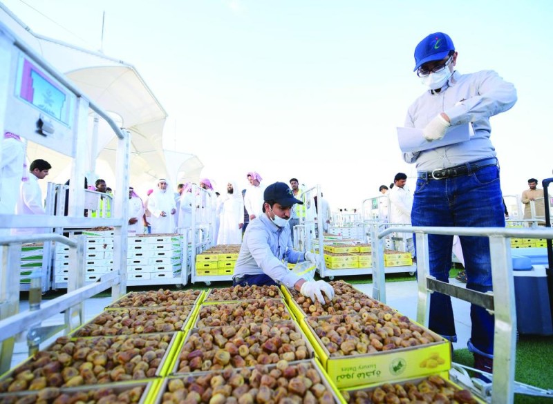 إخضاع التمور الواردة إلى موسم عنيزة للكشف المختبري