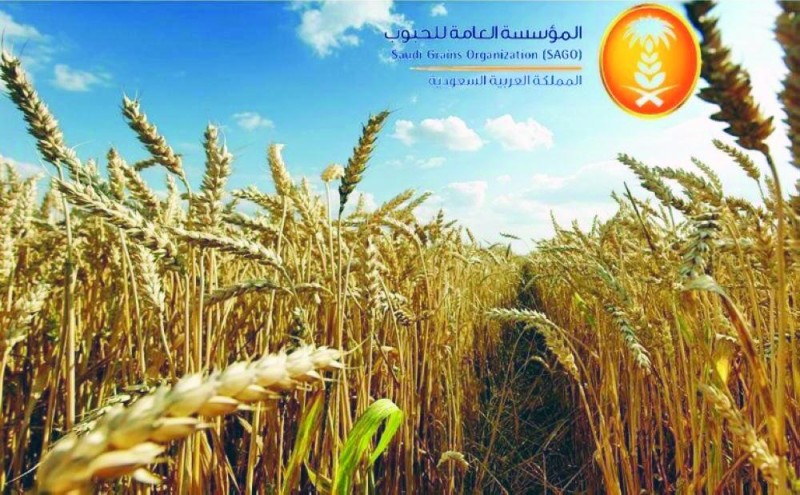مناقصة لاستيراد 780 ألف طن شعير علفي