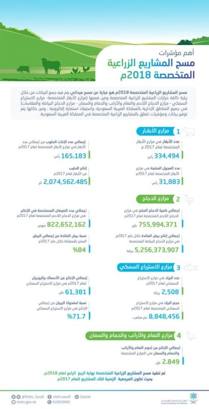 «الإحصاء»: 2 مليار لتر إنتاج الحليب في مزارع الأبقار