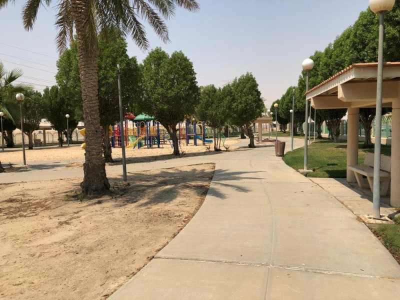 «محاسن» تشكو ظلام الحدائق والشوارع «المأهولة»
