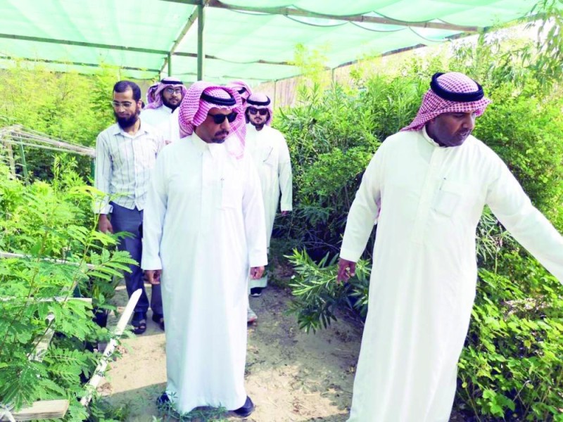 مليون زهرة موسمية بـ«مشتل» النعيرية
