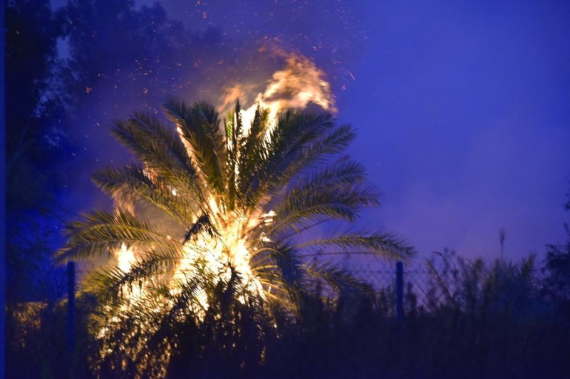 لا إصابات في حريق «مزرعة» بالخبر