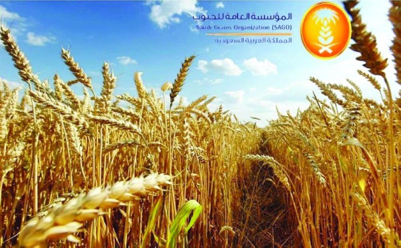 استيراد 780 ألف طن قمح