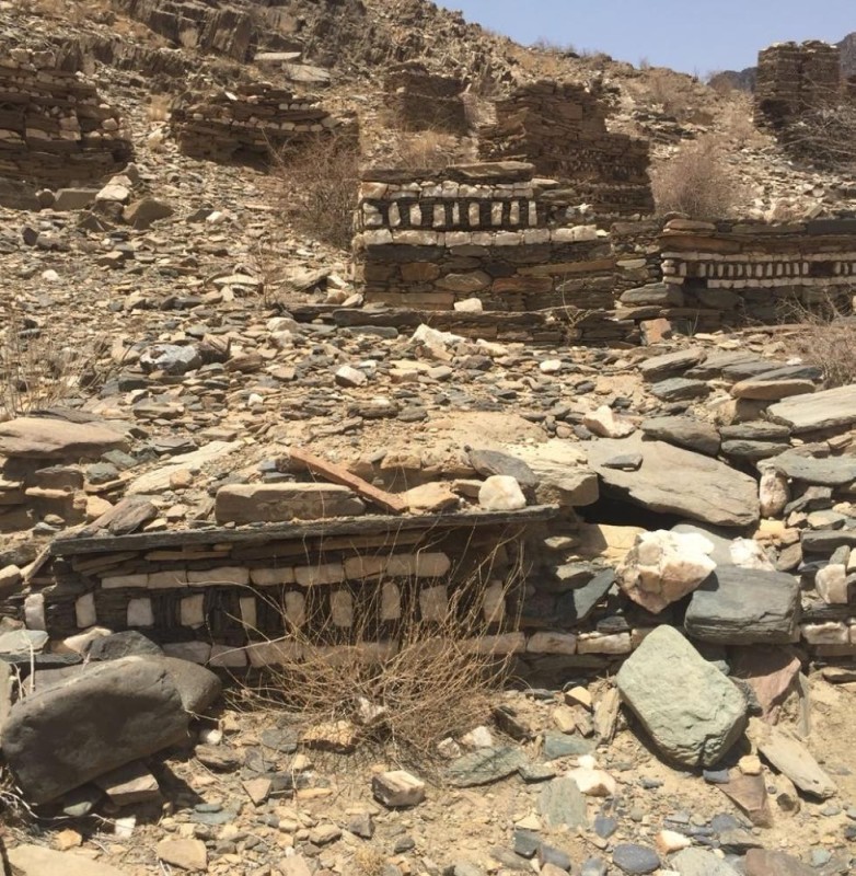 وادي عياء.. إرث تاريخي بطبيعة خلابة