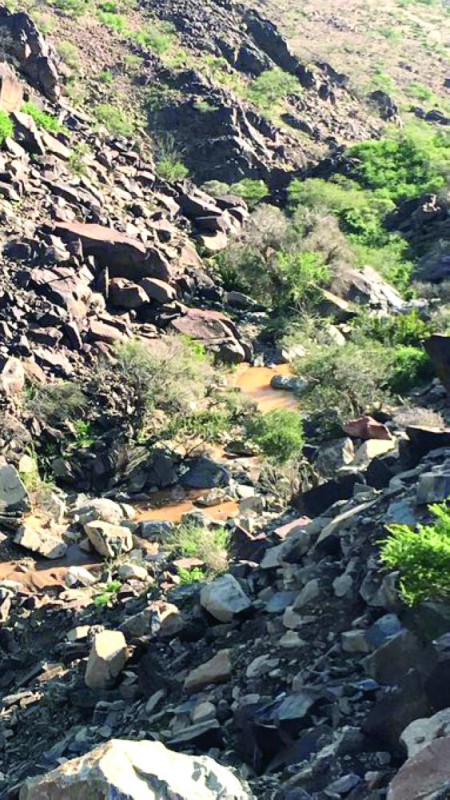 «جبل شمنصير».. أيقونة إبداعية ساحرة في الكامل