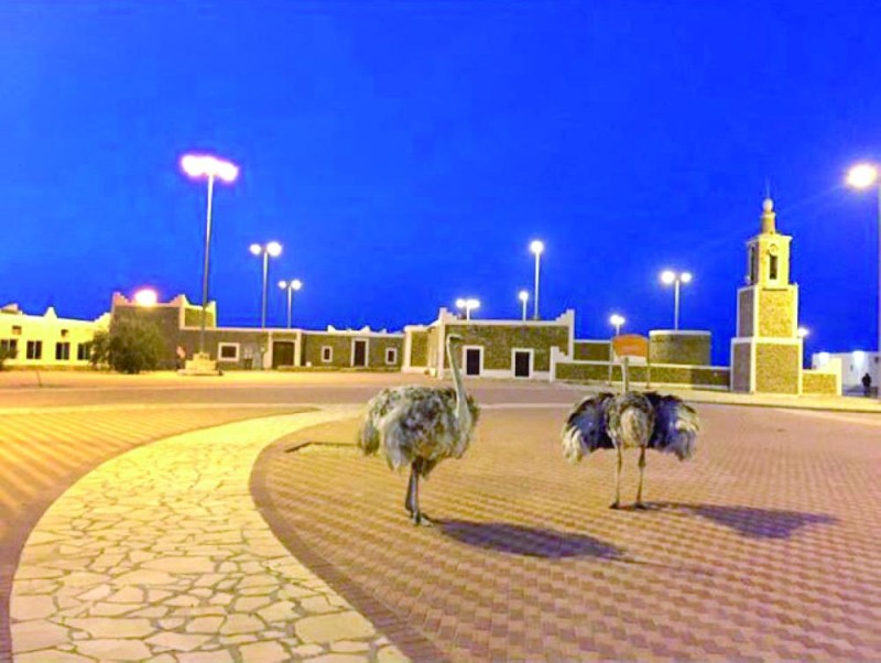 جزيرة «جنة».. حضارة الماضي وإشراقة المستقبل