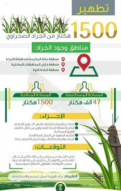 'البيئة' تعالج 1500 هكتار من الجراد الصحراوي
