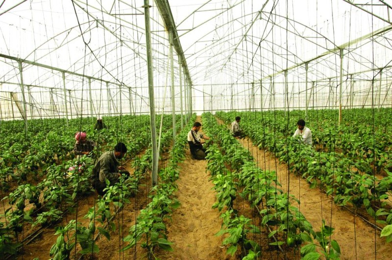 البنك الدولي: 80% من فقراء العالم يعيشون في الريف
