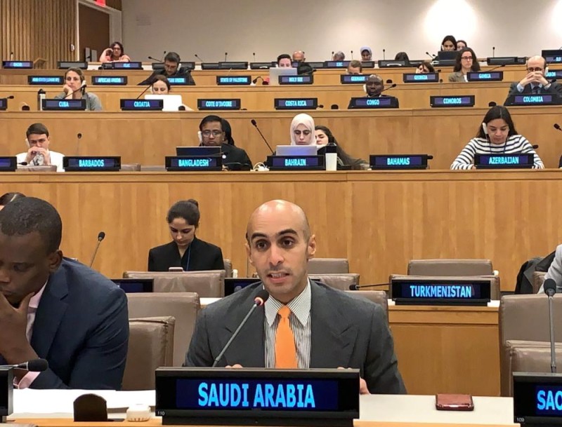 المملكة تؤكد أهمية مكافحة الجرائم الإلكترونية
