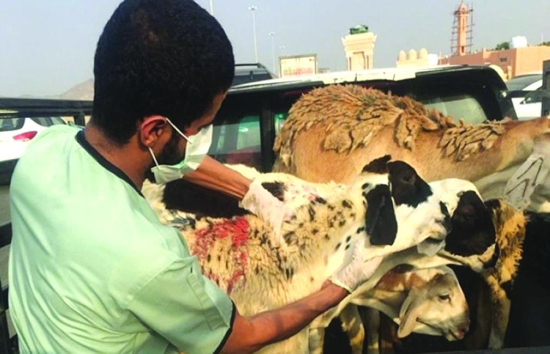 تدشين محجر ميناء الدمام الجديد منتصف العام المقبل