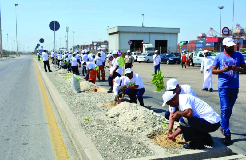 غرس 200 شجرة جديدة بميناء الدمام