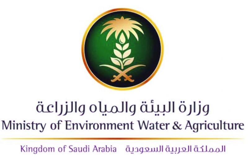 بيئة الشرقية تنهي إجراءات الفحص البيطري للصقور