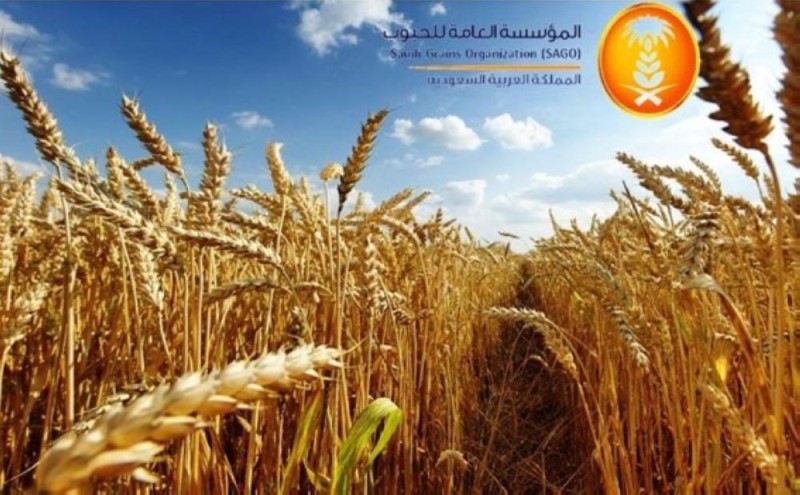 طرح مناقصة لاستيراد 595 ألف طن قمح