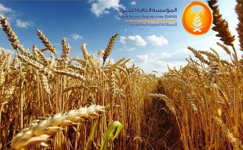 ترسية الدفعة الأخيرة من القمح المستورد لهذا العام